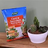 Westland Cacti Succulent Potting Mix with Seramis 4 L Brown 60x3x29 cm view 4