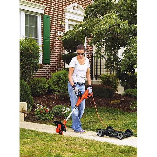 Top Ten Affordable Lawn Trimmer & Edger Combos 2020