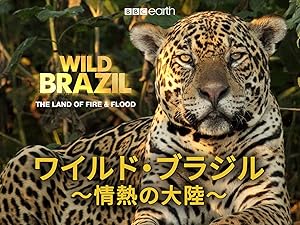 Amazon Co Jp ワイルド ブラジル 情熱の大陸 吹替版 を観る Prime Video
