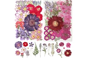 FLYEKIST 100Pcs Purple Dried Pressed Flowers,Real Pressed Flowers Natural Dry Leaves Bulk Herbs Kit for DIY Art Crafts, Resin, Jewelry, Soap, Candle, Scrapbooking,Papermaking Supplies
