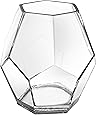 5 Inch Clear Glass Hexagon Shape Flower Vase, Tabletop Prism Wedding Party Decor