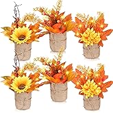 Thyle 6 Pcs Fall Flowers Fall Centerpieces for Tables Artificial Flowers with Burlap Base and String Light Mini Plants Decorations Fake Fall Flowers Artificial for Decoration(Flower Style)