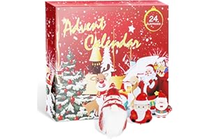 Homealexa 2023 Christmas Advent Calendar, 24 Days of Christmas Countdown Calendar, Christmas Advent Calendar, 24PCS Cute Santa Claus for Adults Teens Boys Girls