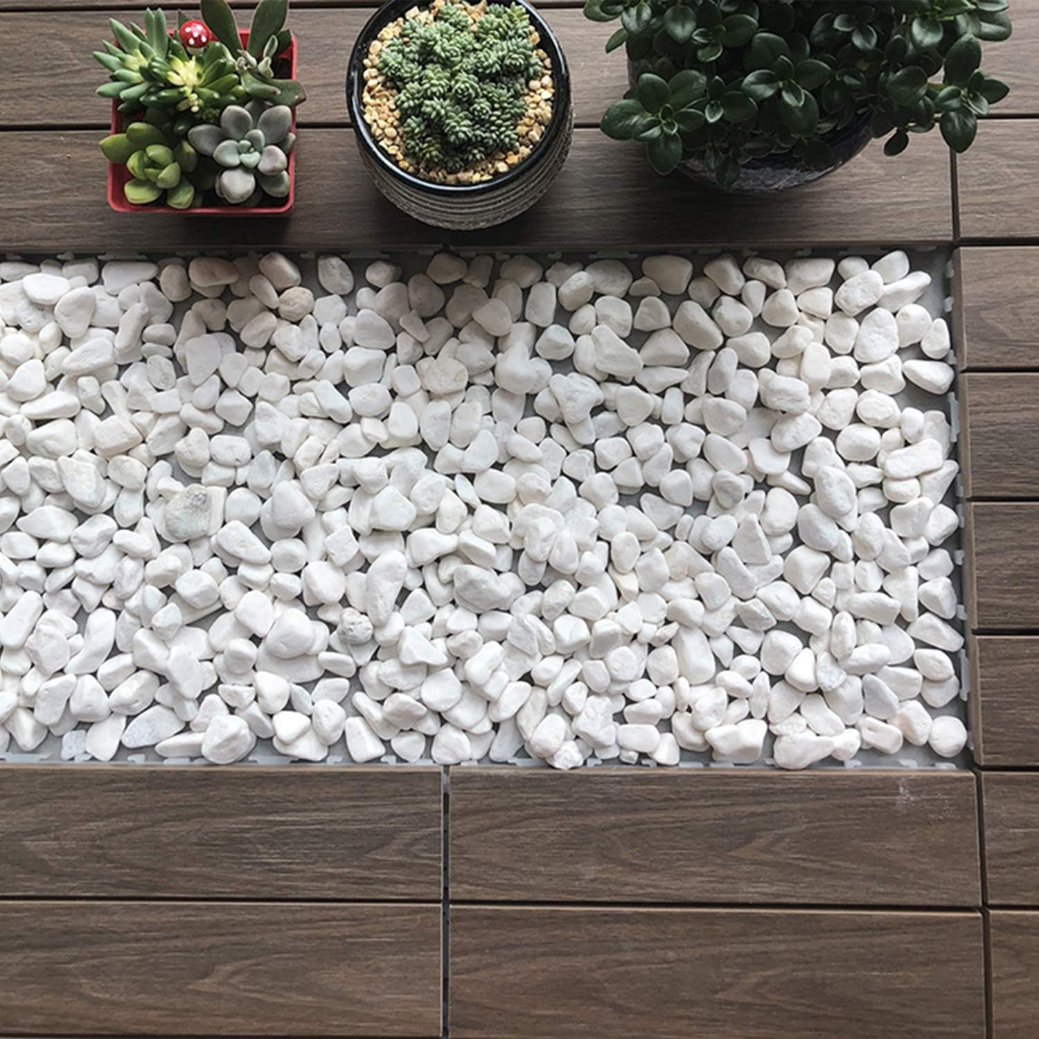 Succulent and Cactus Bonsai DIY Rocks, White Onyx, for Terrarium, Fairy Gardening, Top Dressing, 1.5lb … : Garden & Outdoor