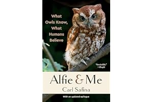 Alfie and Me: What Owls Know, What Humans Believe