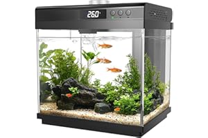 AQQA 3.7 Gallon Aquarium Starter Kit Small Glass Fish Tank with Filter and Light (10 Colors Adjustable) Desktop Self-Cleaning Betta Fish Tank Kit Office & Home Decor Idea (Black)