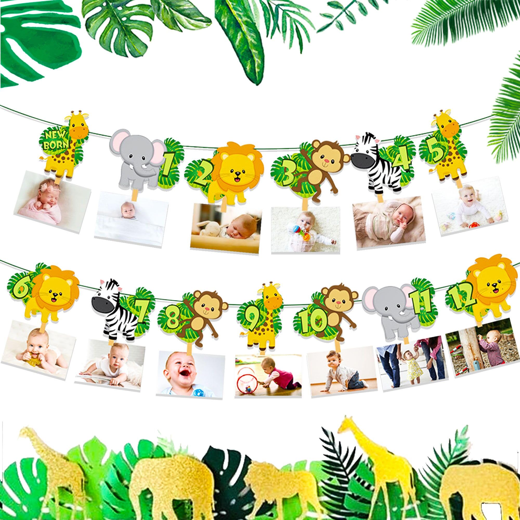 JeVenis Wild Safari and Jungle Birthday Banner - Gold and Zoo Themed Monthly Photo Banner