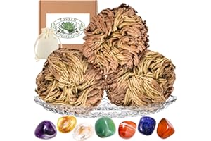 EQUSYM 13Pcs Rose of Jericho & Healing Crystals Set - Rosa de Jerico Original Gift for Christmas, Natural Polished Crystals, Dried Fern Like Scale Leaf Prayer Plants, Home Decor, Plate Included