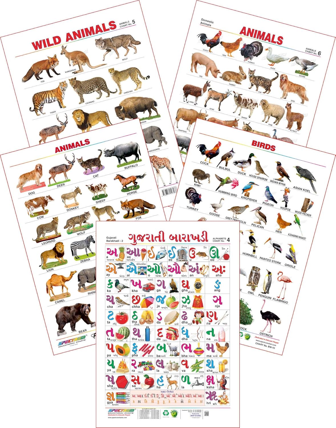 Spectrum Educational Large Wall Charts (Set of 5) ( Gujarati