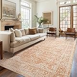 Madane 5x7 Area Rugs for Living Room, Floral Area