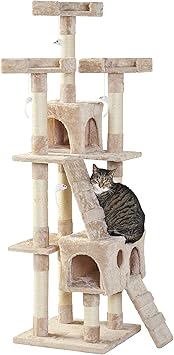 milo and misty cat scratcher