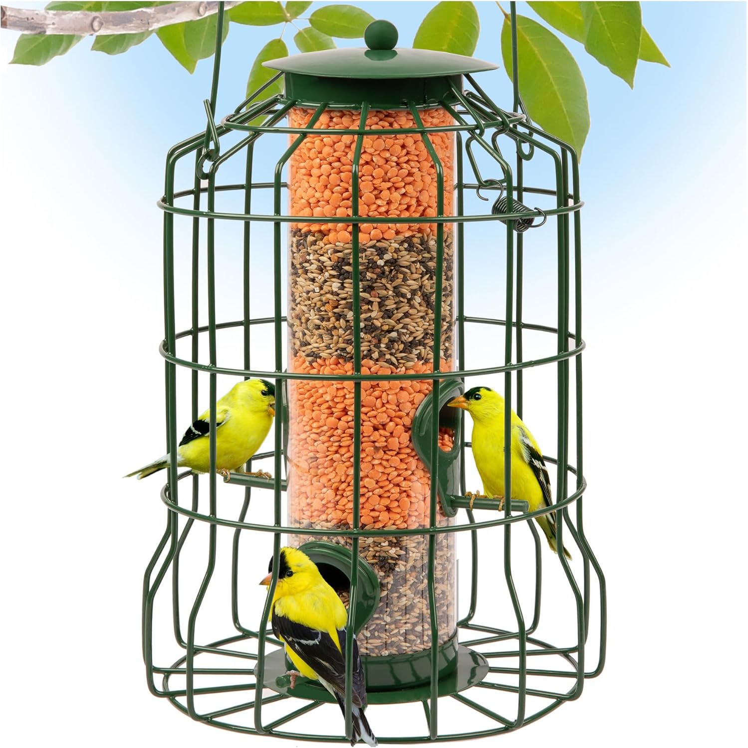 Backyard Birding & Wildlife - Wild Bird Feeders Squirrel Proof for Outside Hanging, 1.25 lb Capacity Steel Bird Feeder Squirrel Proof for Small Birds, Chew Proof and Rust Proof, 4-Port