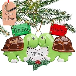 Personalized Turtle Couple Ornament 2025 | Free 24h