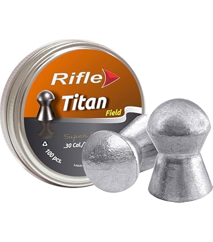Amazon.com : JSB 546498-300 Match Diabolo Exact King MKII Heavy