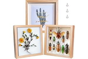 Dohomi 8x8 Shadow Box Frames Natural Wood Shadow Boxes Display Cases Picture Frame with Mat Glass Surfaces Internal Depth 0.6