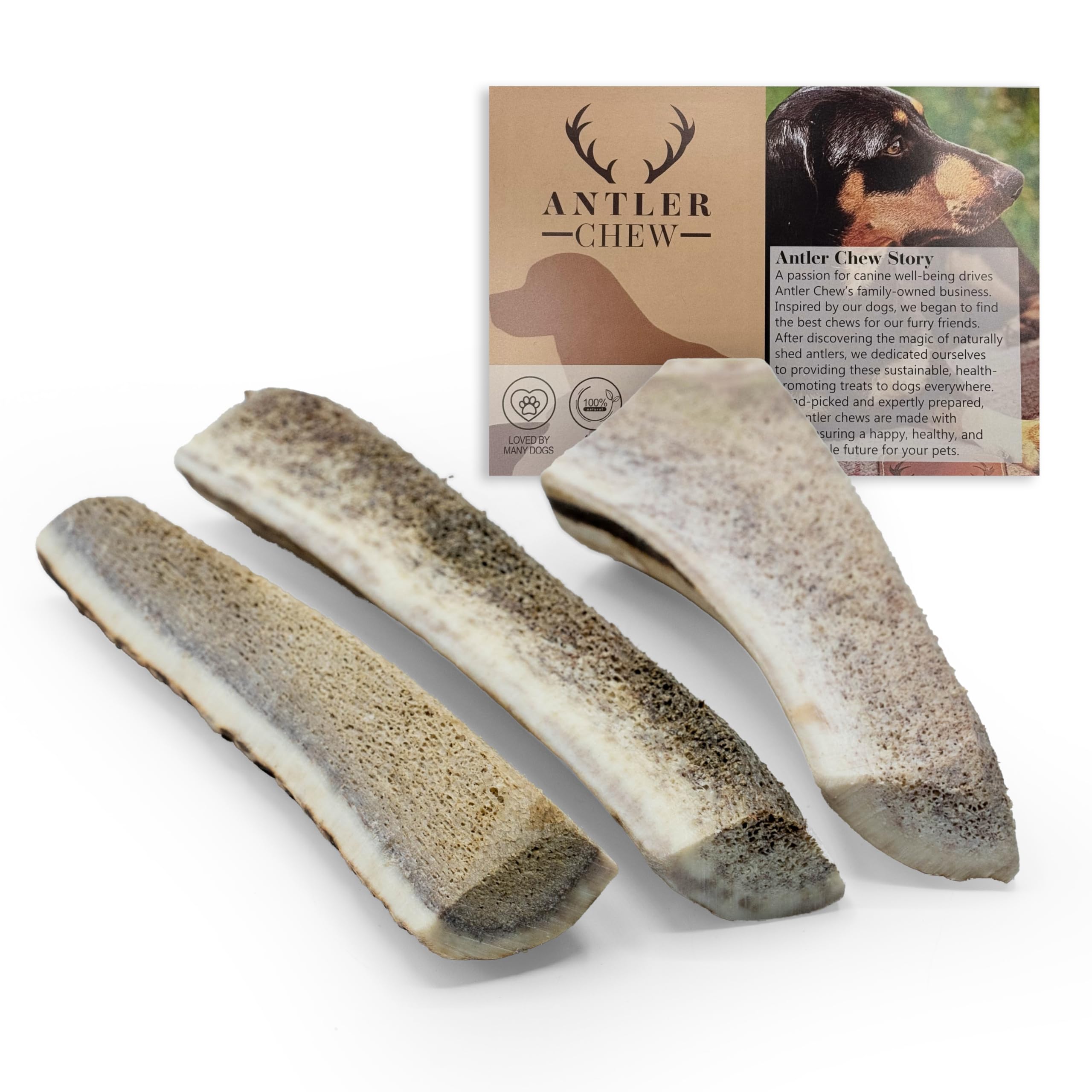 Antler Chew - Eeasy Chew Split Deer Antlers for Dog (Pack of 3, From 8 cm, 20-32g), Pizza Shape, Exposed Marrow Natural Dog Chew Treat & Toy, Safe for All Dogs & Puppies, Naturally Shed, Long-Lasting