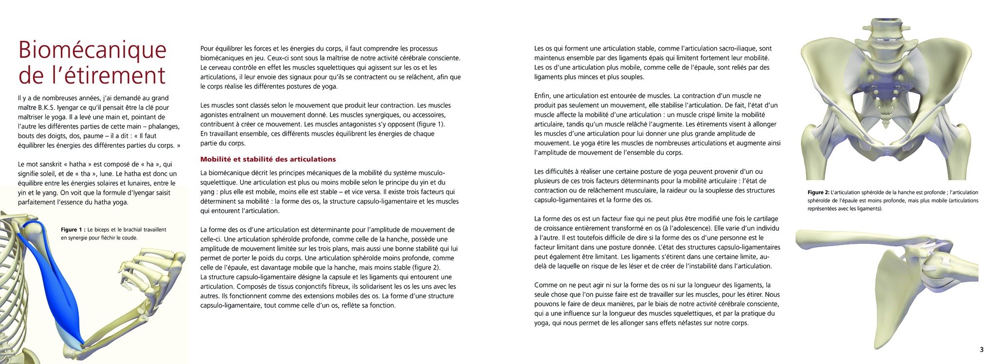 Yoga Anatomie Les Postures Tome 2 Amazon De Ray Long Fremdsprachige Bucher