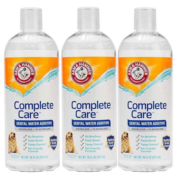 ARM & HAMMER DOG DENTAL WATER ADDITIVE BREATH FRESHENER, ODORLESS FLAVORLESS ORAL CARE SOLUTION FOR PLAQUE AND TARTAR CONTROL, DAILY NO BRUSH DENTAL SUPPORT FOR DOGS, 16 FL OZ – 3 PACK