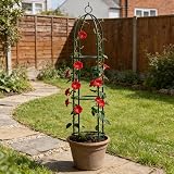 Crystals Garden Obelisk for Climbing Plants 1.9m Tall Metal Trellis view 2