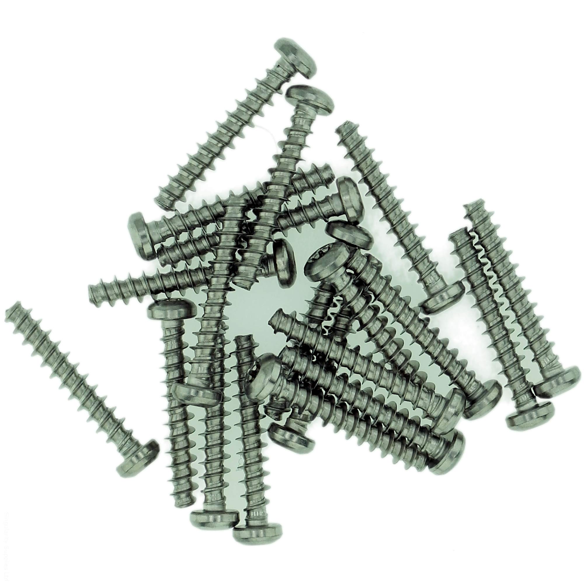 D3.5 (3.5mm x 16mm) TX Pan Screws for Plastic - Stainless Steel (A2) (Pack of 20) โ image 1