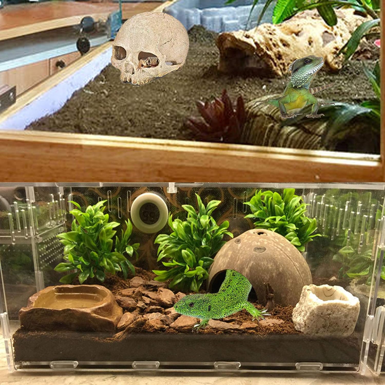 snake tank decorations