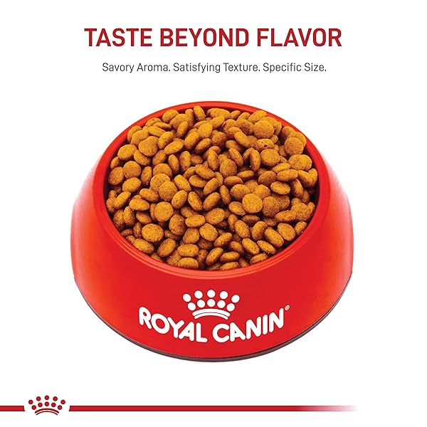 ROYAL CANIN SIZE HEALTH NUTRITION X-SMALL 7+ ADULT DRY DOG FOOD, 2.5 LB BAG