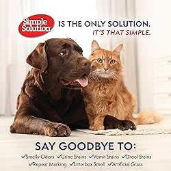 Simple Solution Hard Floor Extreme Pet Stain and