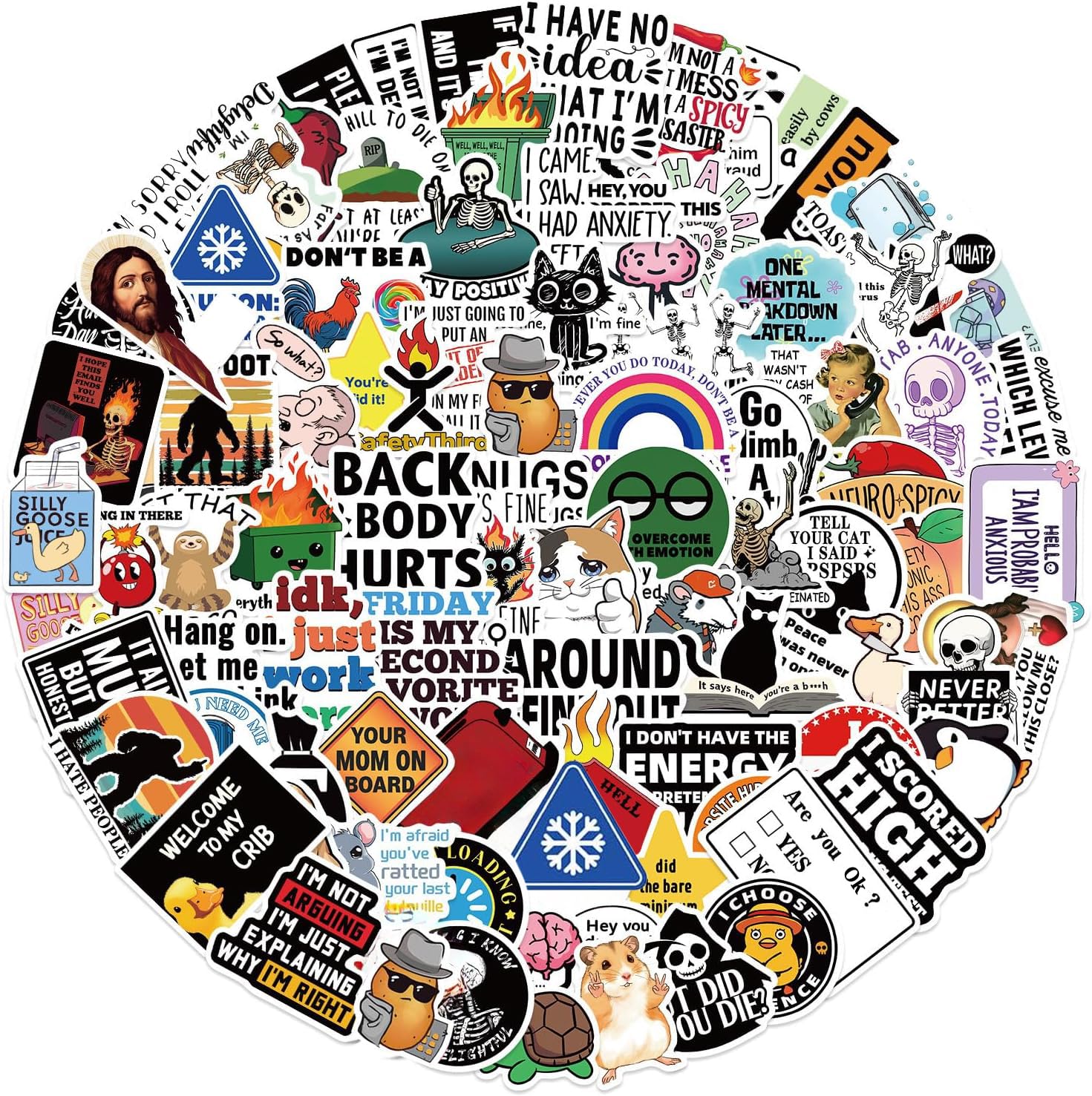 100pcs Prank Meme Stickers, Funny Bookish Kindle Stickers for Readers Spicy Booktok Vinyl Decals for Laptop IPAD Ebook Reader Water Bottle Holographic Waterproof Romance (Multicolor)