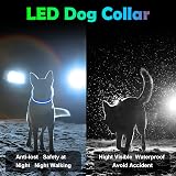 AUAUY LED Light Up Dog Collar Blue USB Rechargeable 70cm Reflective view 6