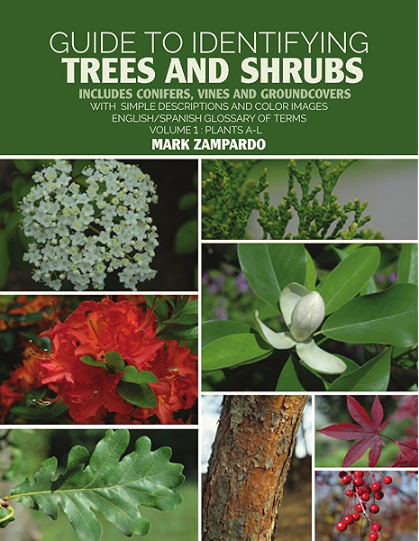 Guide To Identifying Trees And Shrubs Plants A L Includes Conifers Vines And Groundcovers Kindle Edition By Zampardo Mark Crafts Hobbies Home Kindle Ebooks Amazon Com