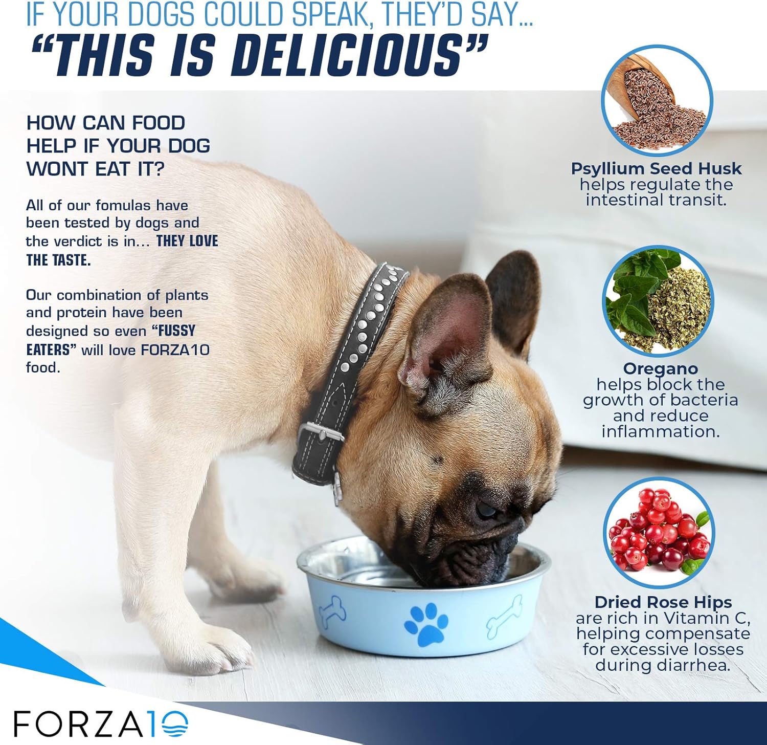 happy dog gastro intestinal