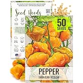 Seed Needs Jamaican Yellow Hot Pepper Seeds to Plant Heirloom 1 Pack