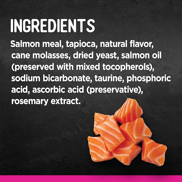 ZOE PURRABLES SALMON CAT TREATS, 75 GR