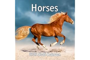 BLUE WOLF CALENDAR COMPANY 2026 Horses Monthly Wall Calendar | 12" x 24" | Animals Calendar 2025-2026