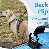 rabbitgoo Dog Harness Medium Front Back Clip Reflective Sky Blue M view 8
