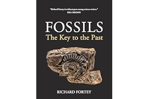 Fossils: The Key to the Past