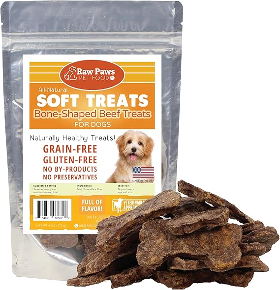 Raw Paws Pet Premium Soft Jerky Dog Treats, 6Ounce Beef