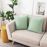NiNi ALL Decorative Throw Pillow Covers Pack of 2, Velvet Cushion Case for Couch Bedroom Living Room Outdoor, Pillow Covers 18x18 Inch(45 x 45 cm) Sage Green