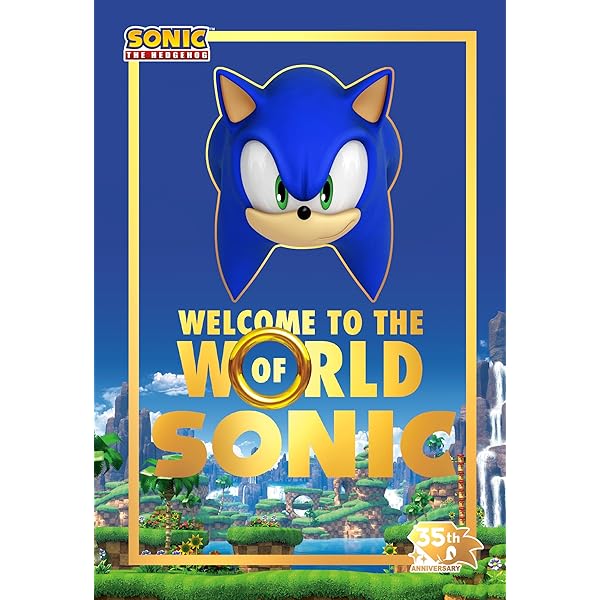 Amazon.com: The History of Sonic the Hedgehog: 9781926778563