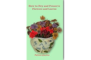 How to Dry and Preserve Flowers and Leaves