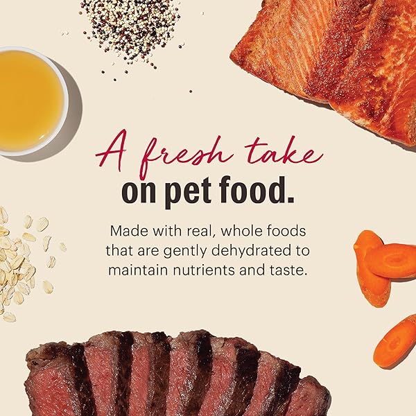 THE HONEST KITCHEN HUMAN GRADE WHOLEMADE™ DEHYDRATED DOG FOOD, WHOLE GRAIN DOG FOOD, BEEF & SALMON, 4 LB (MAKES 16LBS)