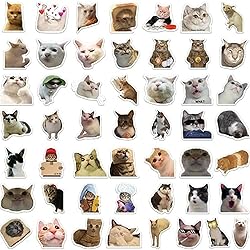 Cat Stickers,Funny Cat Meme, Kawaii for