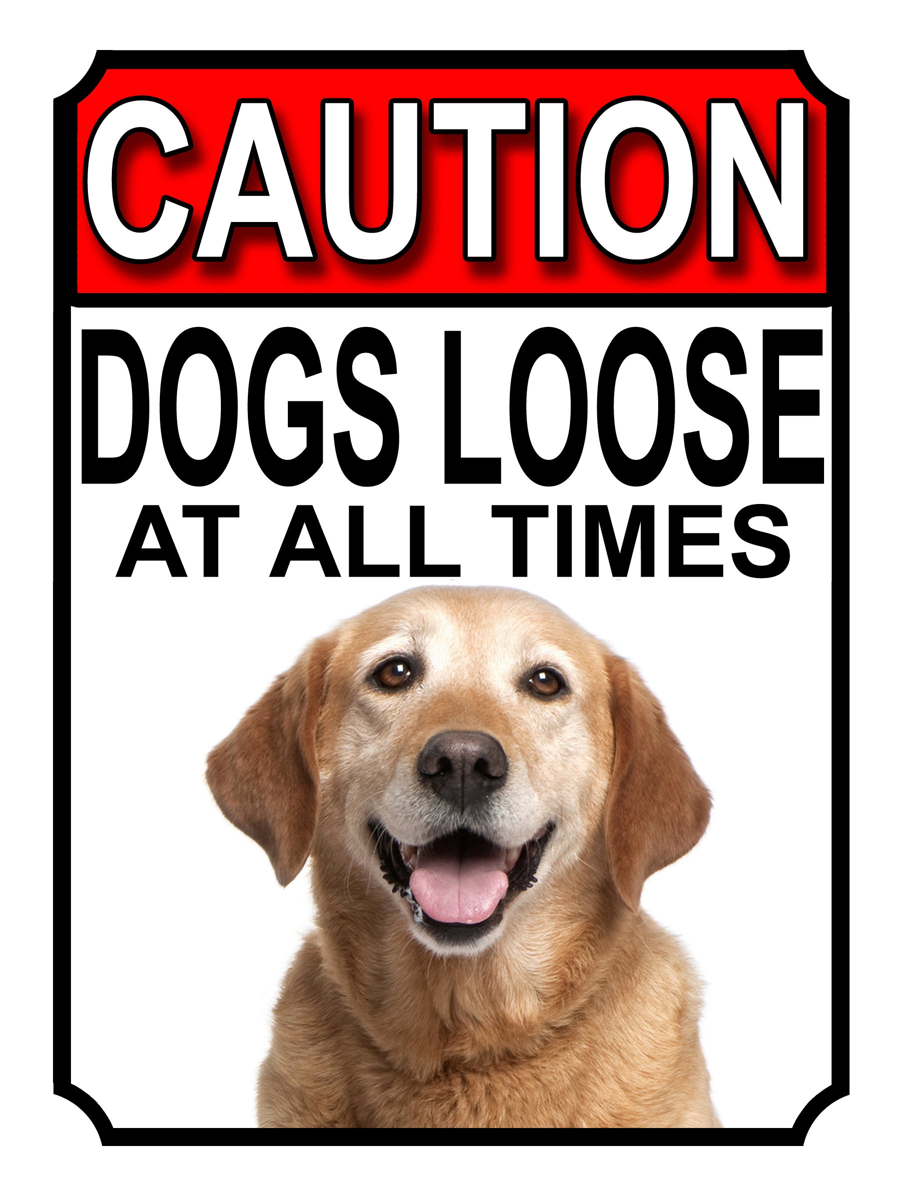 SHAWPRINT CAUTION DOGS LOOSE AT ALL TIMES METAL GATE SIGN YELLOW LABRADOR 200MM X 150MM (1227H1) โ image 1