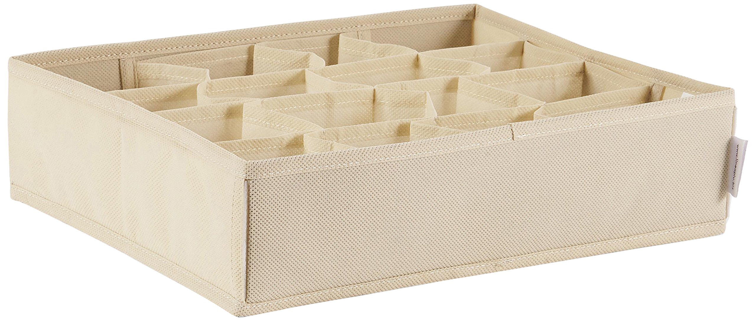 Perfetto Organizer Cassetto Tnt Easybox Dimension- 35 x 28 x 9 Cm. Socks