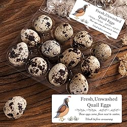 SMARSTICKER Unwashed Chicken Quail Duck Egg Carton