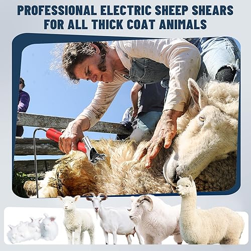 Dragro 1000W Electric Sheep Shears, Professional Sheep Clippers, Animal  Grooming Clippers for Horse Alpacas Go