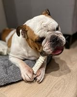 Nylabone Dura Chew Extreme Dog Toy XL Chicken Flavor for Dogs Over 23 kg view 2