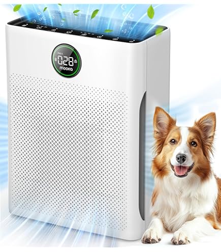 Purificador Aire Filtro Hepa Para Mesa Casa Oficina Compact | Cuotas