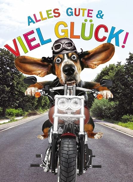 Carte Anniversaire Moto Humour Get Update News
