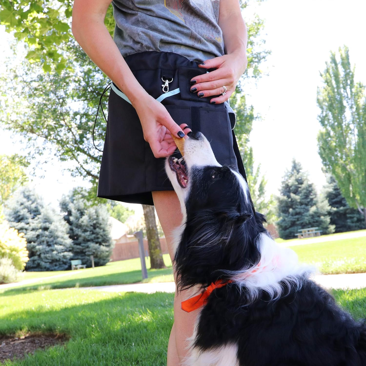 agility training skirt